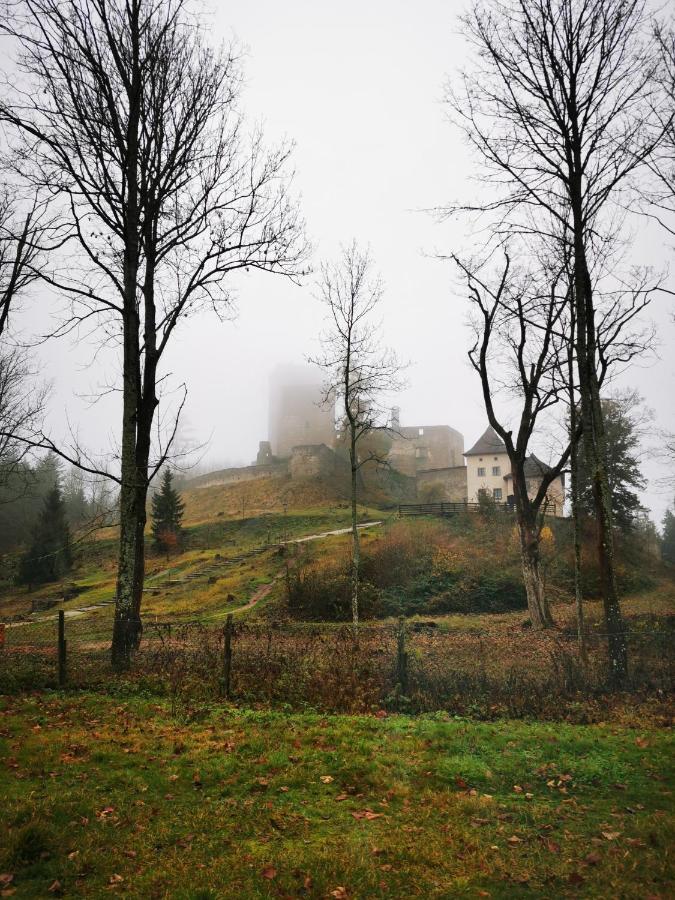 Penzion Landstejnsky Dvur Slavonice Buitenkant foto